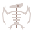 esqueleto de pterodáctilo icon