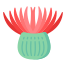 Cactus Flower icon