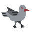 raven icon