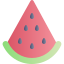 externe-Melon-d'eau-été-chloe-kerismaker icon