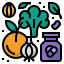 fruit icon
