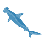 Hammerhead icon