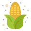 Corn icon