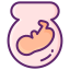 Childbirth icon