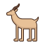 Antilope icon