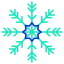 Schneeflocke icon