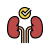Healthy Kidneys icon