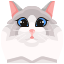 猫 icon