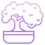 bonsai icon