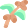 coffee plant icon