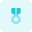 Flower shape military medal isolated on a white background icon