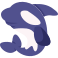 killer whale icon