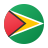 Guyana-circolare icon