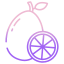 kumquat icon