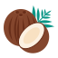 Noix de coco icon