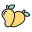 Mango icon