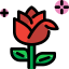 Rosa icon