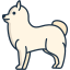 zwergspitz icon
