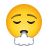 emoji de exalação de rosto icon