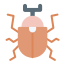 Beetle icon