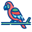 鹦鹉 icon