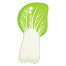 cabbage icon