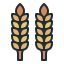 Wheat icon