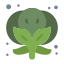 Brocoli icon