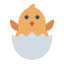 Chick icon