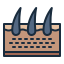 skin icon