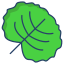 watercress leaf icon