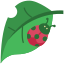 Ladybug icon