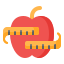 diet icon
