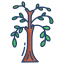 Tree icon