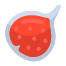 Feigenfrucht icon