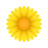 Blüte icon