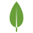 モンゴデータベース icon