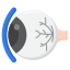 optique icon