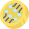 digital money icon