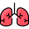 Lungs icon