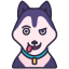 sibirischer husky icon