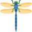 Dragonfly icon