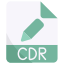 50 CDR icon