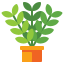 阳光下的植物 icon