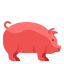 Cerdo icon