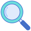 magnifying glass icon