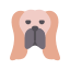 basset hound icon