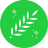 刺槐 icon