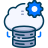 Cloud Data Settings icon