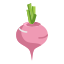 Beetroot icon